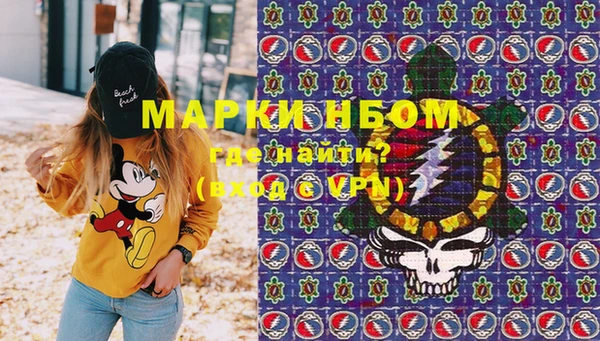 метадон Алексин