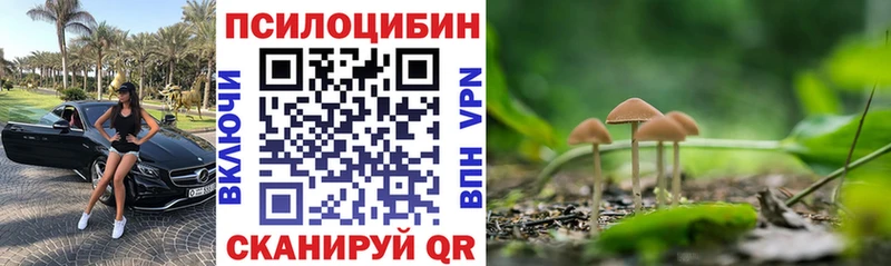 kraken маркетплейс  Ленинск  Псилоцибиновые грибы мицелий 